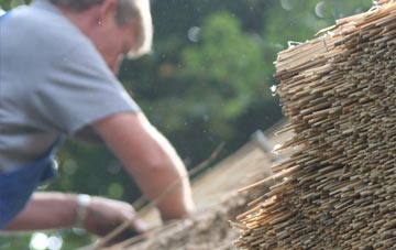 professional Finvoy thatchers